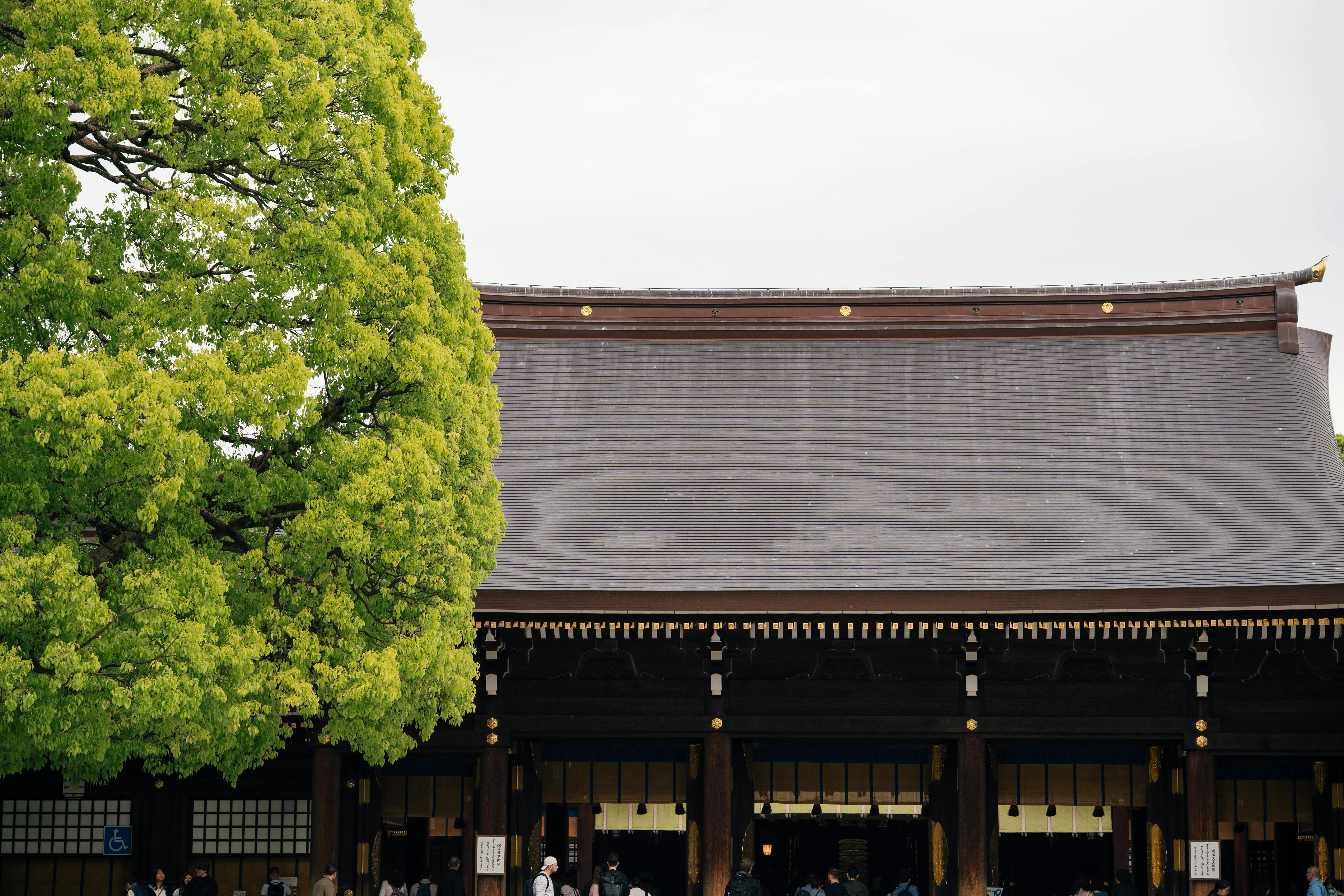 Tokyo Urban Exploration Guide Meiji Shrine