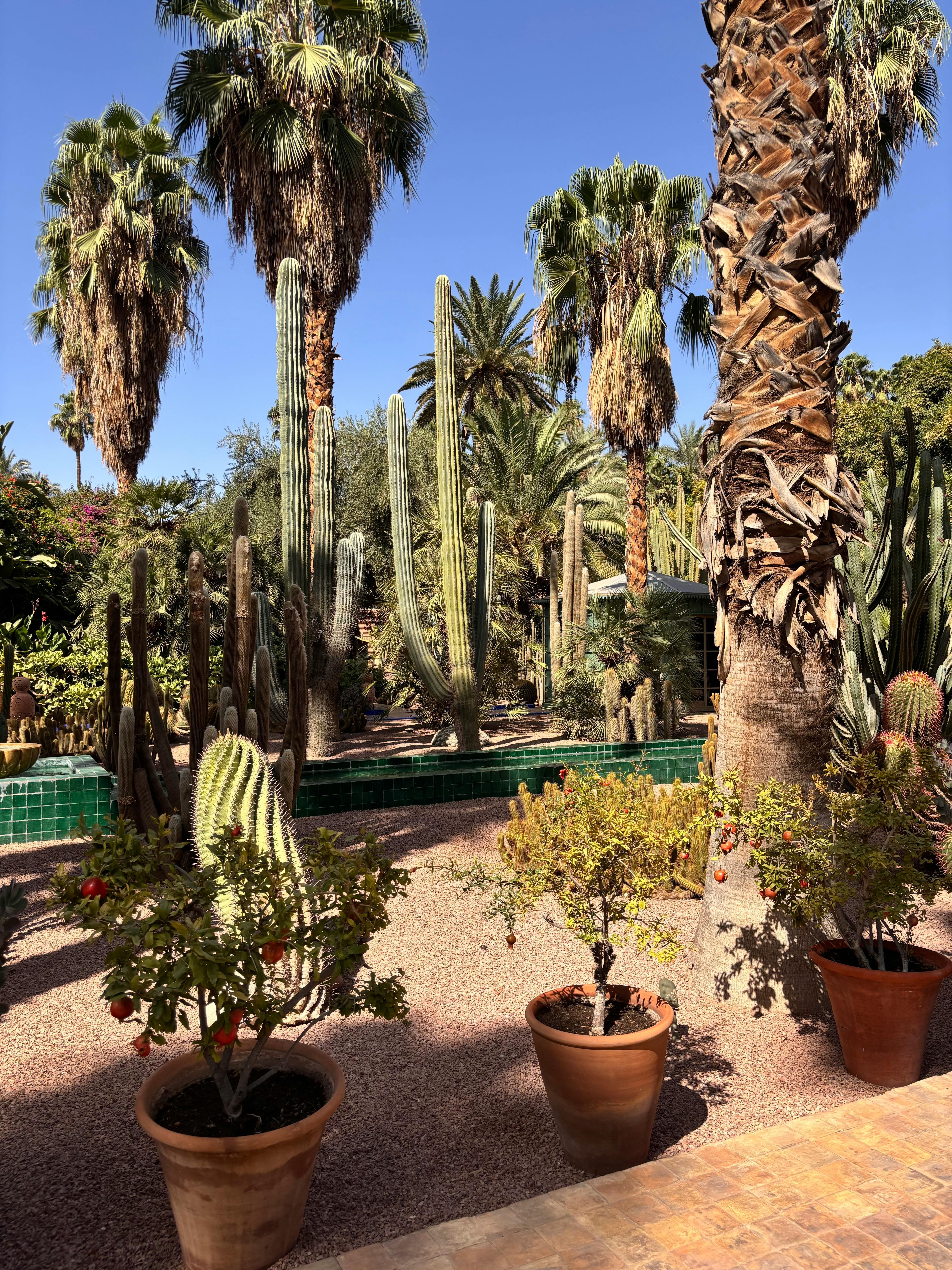 Marrakech Cultural Highlights Majorelle Garden